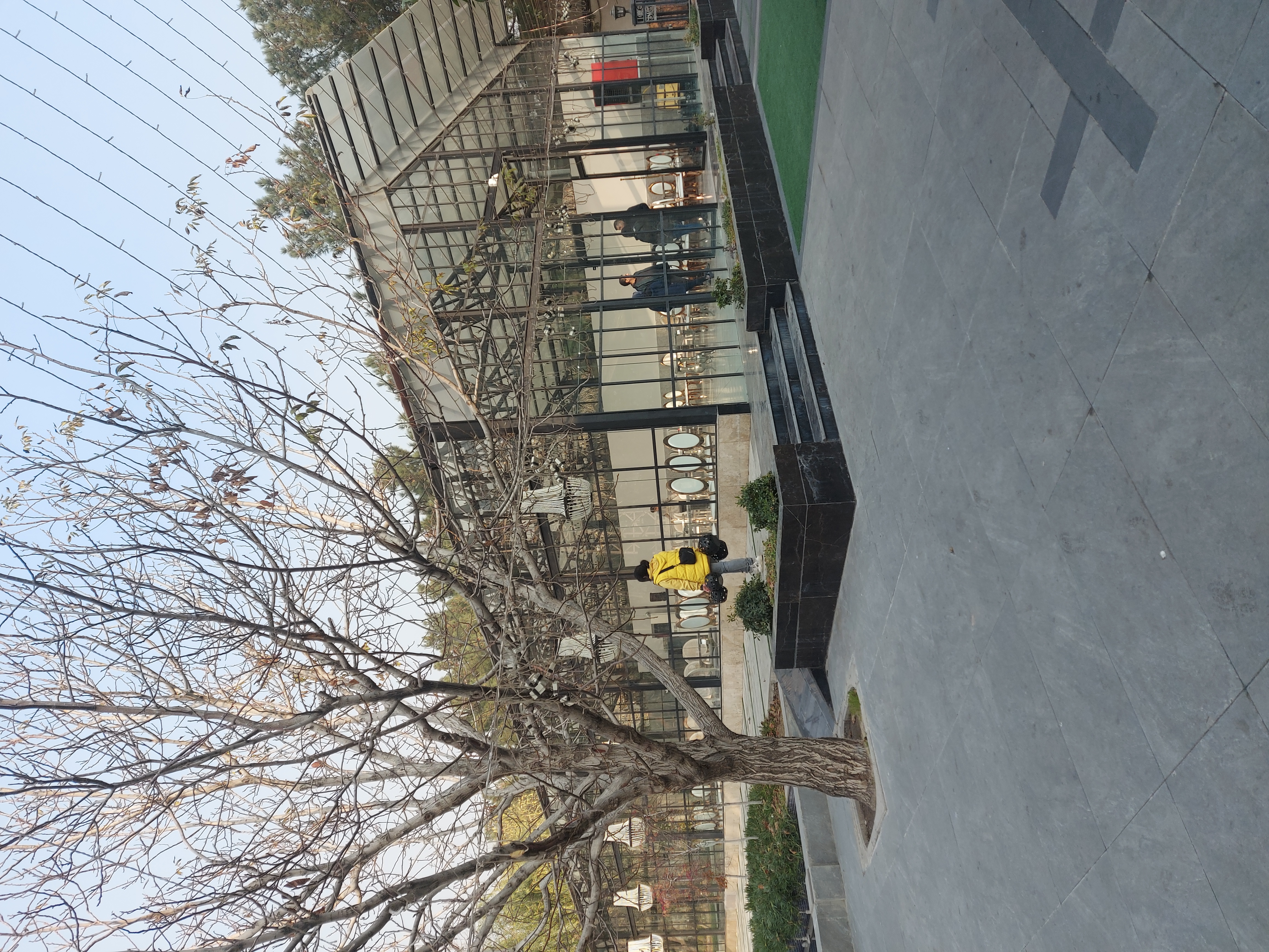 موسیقی زنده
